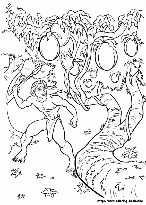 Tarzan kolorowanki